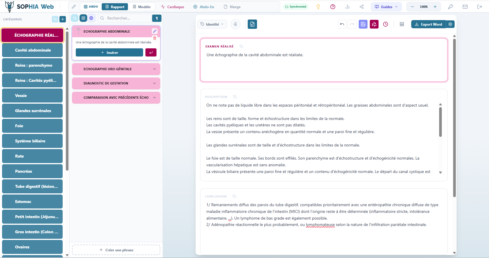 Interface Logiciel Vétérinaire SOPHIA - Onglet Rédaction